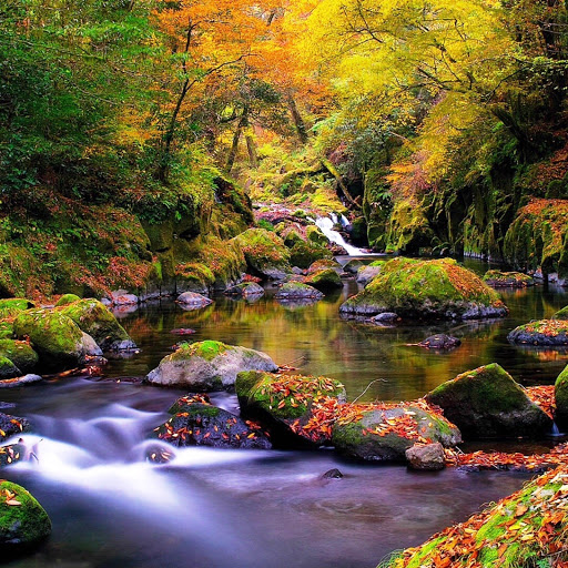 Hd-142116-ascw142116