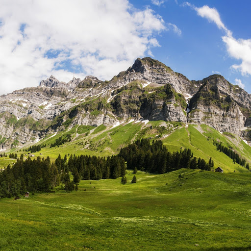 Hd-151545-ascw151545