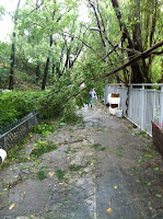 IMAGE_1000003713.JPG