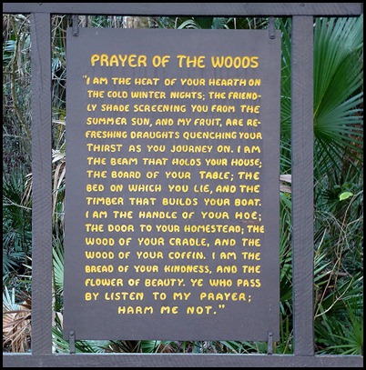 02b - River Rapids Trail - Prayer of the Woods