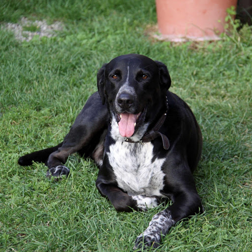 Hd-178381-ascw178381