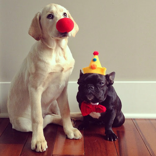 Hd-135478-ascw135478