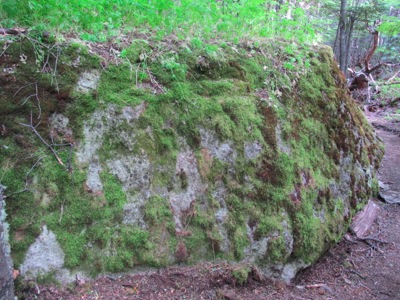 IMG_9370.JPG IMG 9370