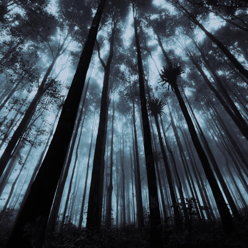 Hd-143302-ascw143302