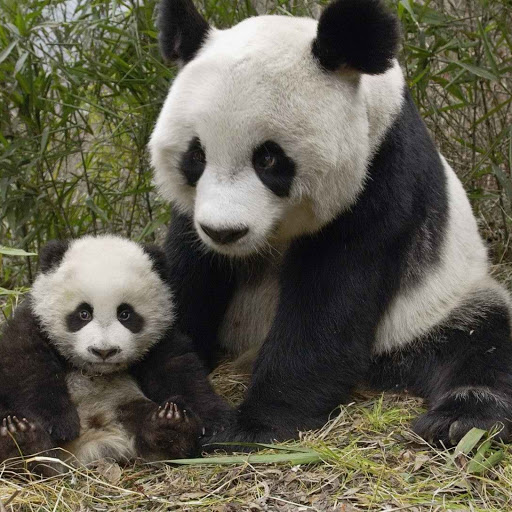 Hd-139638-ascw139638