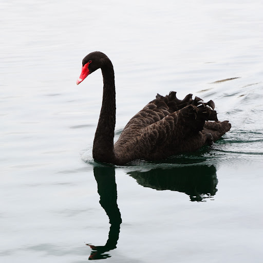 Hd-164447-ascw164447