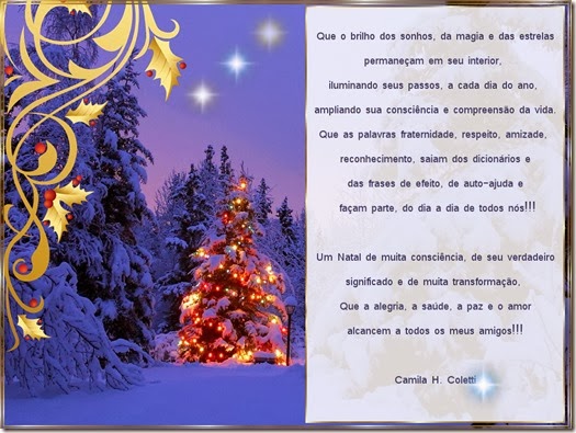 cartao natal 2013-camila-coletti