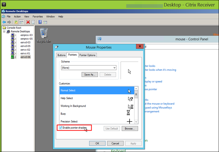 Drunk Mouse® when RDPing from a Citrix Session to a Windows 2012 Server