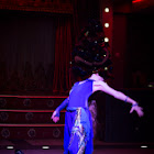 IMG_8645.JPG