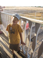 IMG_8648 IMG_8648
