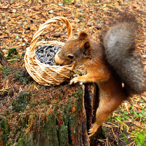 Hd-134104-ascw134104