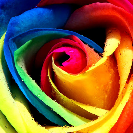 Hd-169991-ascw169991