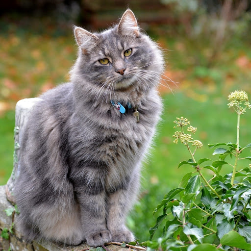 Hd-178517-ascw178517