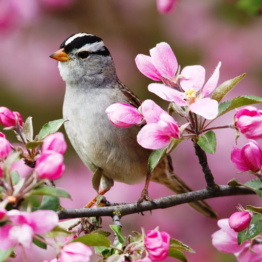 Hd-142665-ascw142665