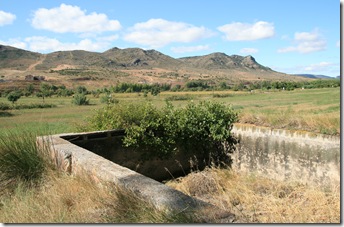 IMG_2004 IMG_2004