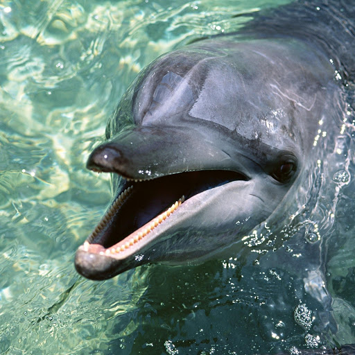 Hd-181671-ascw181671