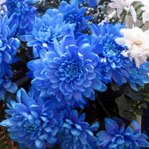 Hd-148744-ascw148744