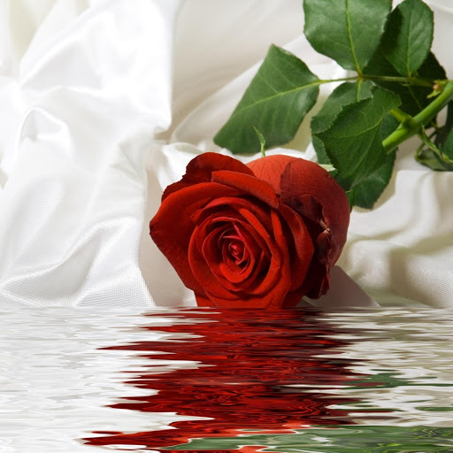 Hd-176974-ascw176974