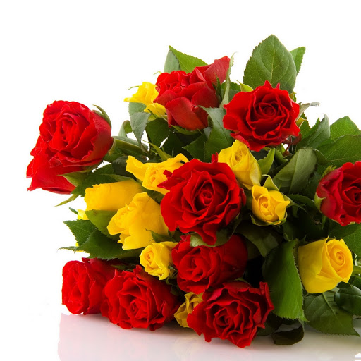 Hd-144911-ascw144911