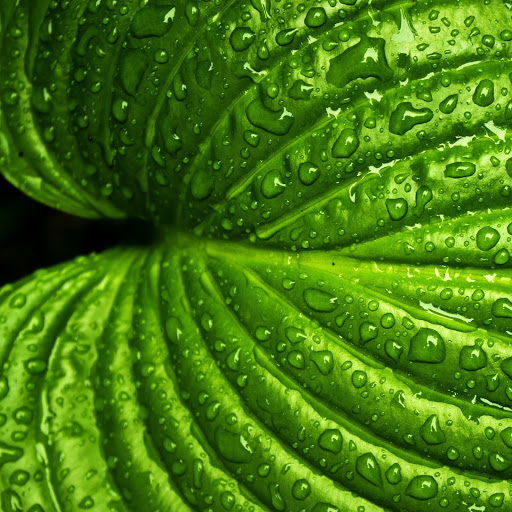 Hd-174672-ascw174672