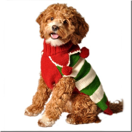perro gorritos navidad (21)
