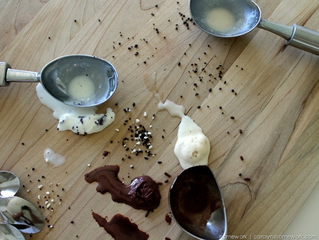 Graeter's Ice Cream - Gelator & A Little Less Indulgent | homework 