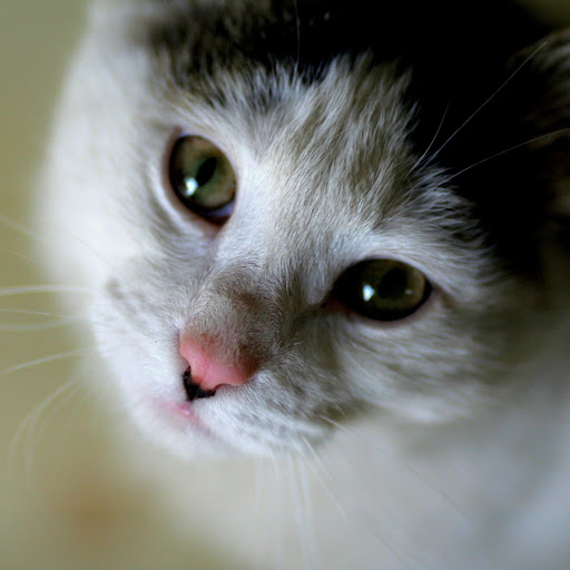 Hd-141263-ascw141263