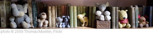 'Bookworms' photo (c) 2009, Thomas Mueller - license: http://creativecommons.org/licenses/by-nd/2.0/