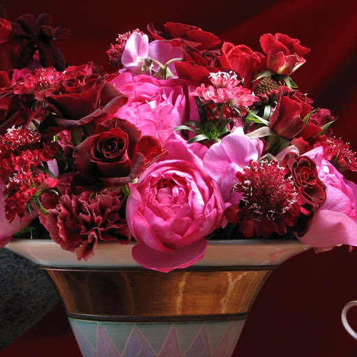 Hd-146770-ascw146770