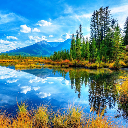 Hd-151166-ascw151166