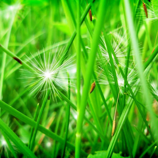 Hd-139497-ascw139497