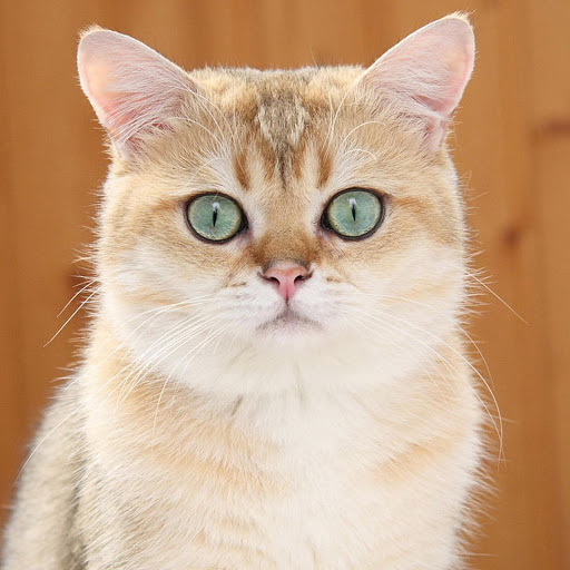 Hd-181632-ascw181632