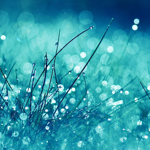 Hd-133196-ascw133196