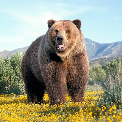 Hd-157946-ascw157946