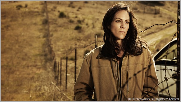 Annabeth Gish as Charlotte Millright in THE BRIDGE. CLICK to visit the official show site.