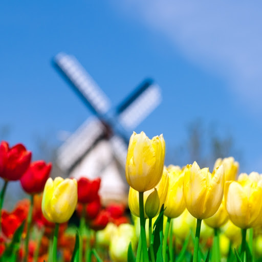 Hd-162555-ascw162555