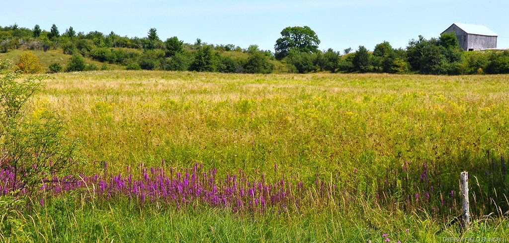 [DSC_0015%255B4%255D.jpg]