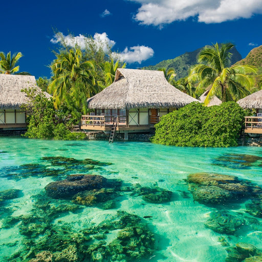 Hd-166995-ascw166995