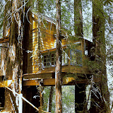 casa-en-arbol.jpg