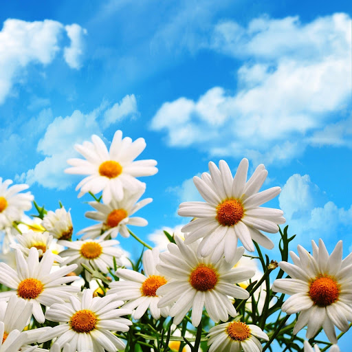 Hd-150427-ascw150427