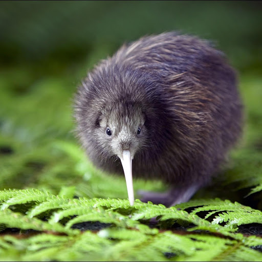 Hd-146474-ascw146474