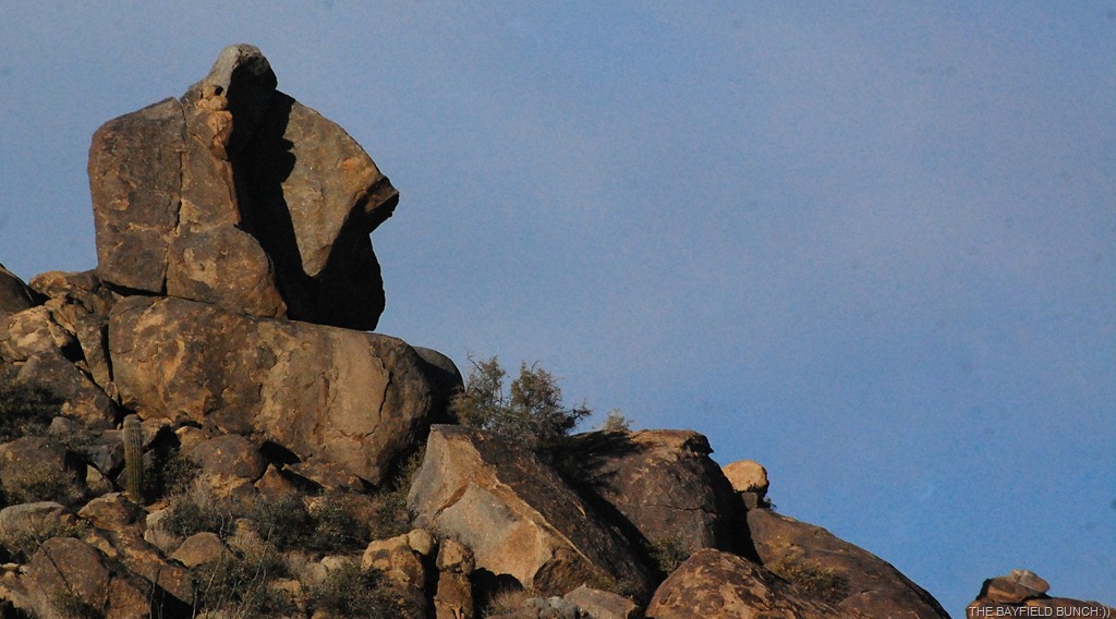 [DSC_7632%255B4%255D.jpg]