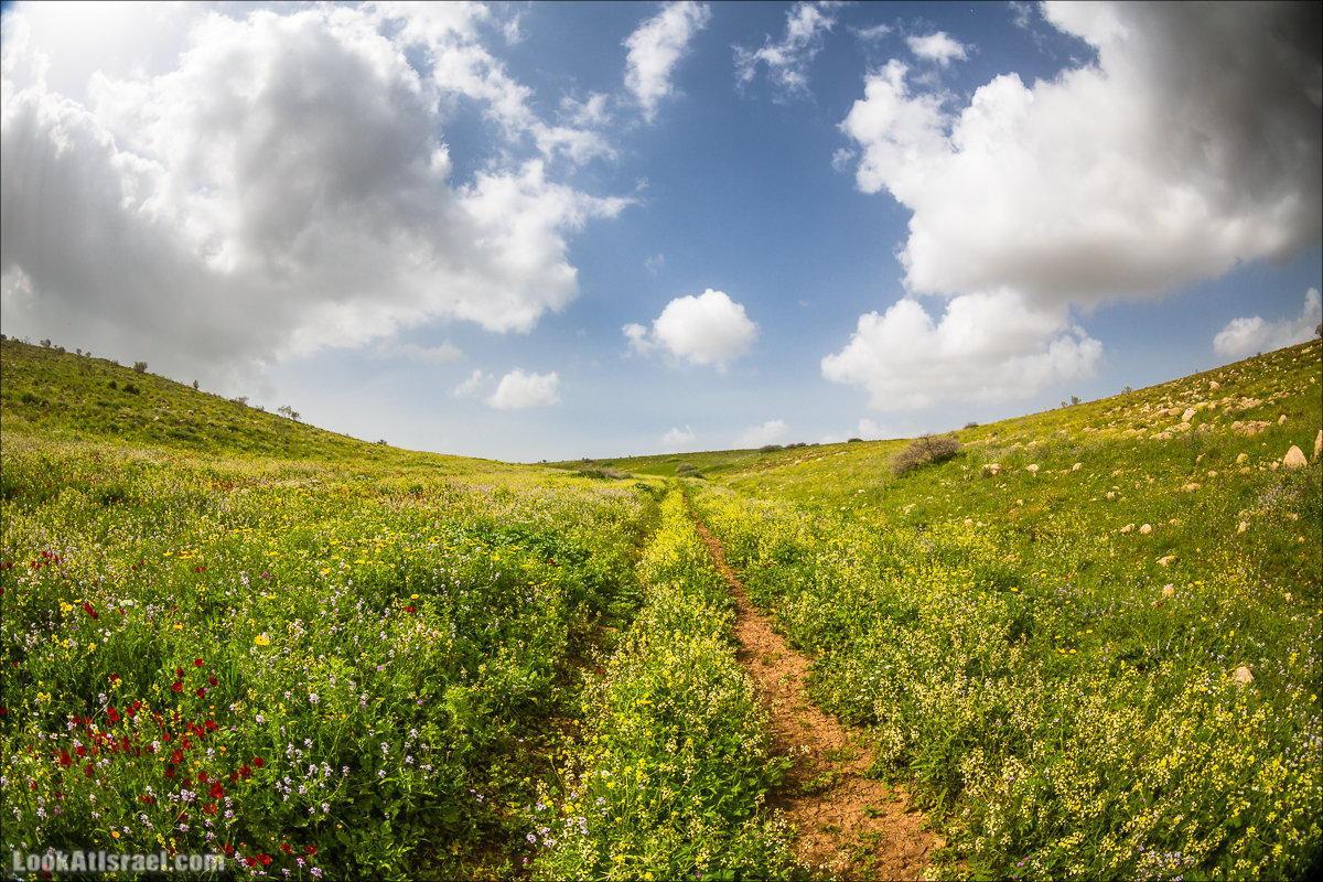 Заповедник Ум Зука