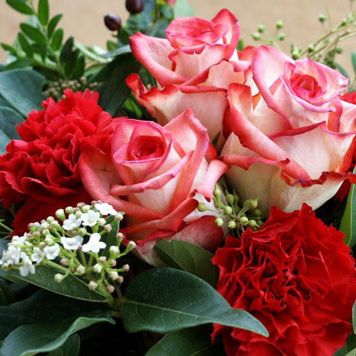 Hd-181768-ascw181768