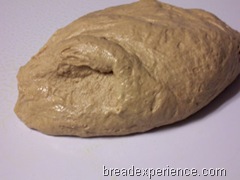 sprouted-wheat-bread 010