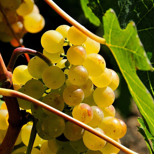 Hd-173905-ascw173905