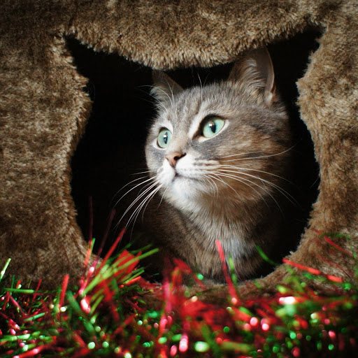 Hd-167212-ascw167212