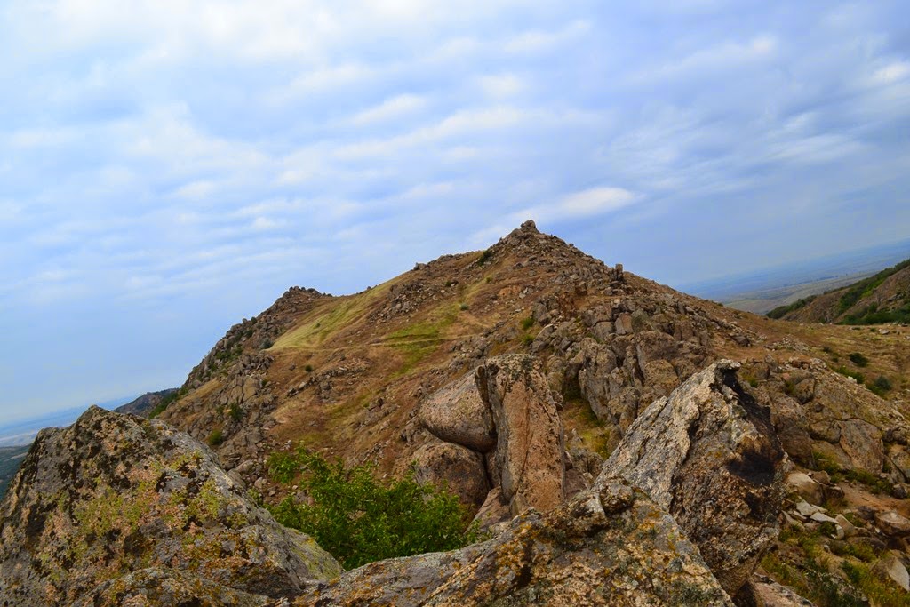 [DSC_62883.jpg]