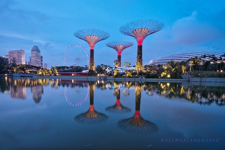 supertrees-singapore-5