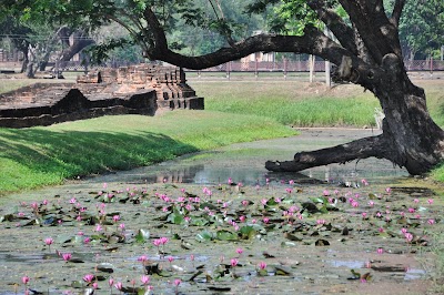 DSC_0603.JPG